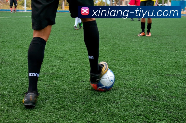 辅助工具 辅助工具